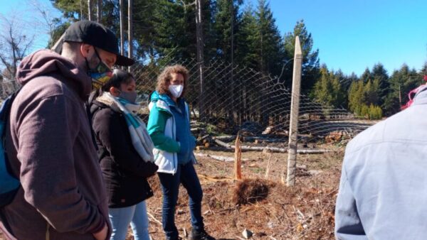 WhatsApp Image 2021-09-10 at 2.55.43 PM