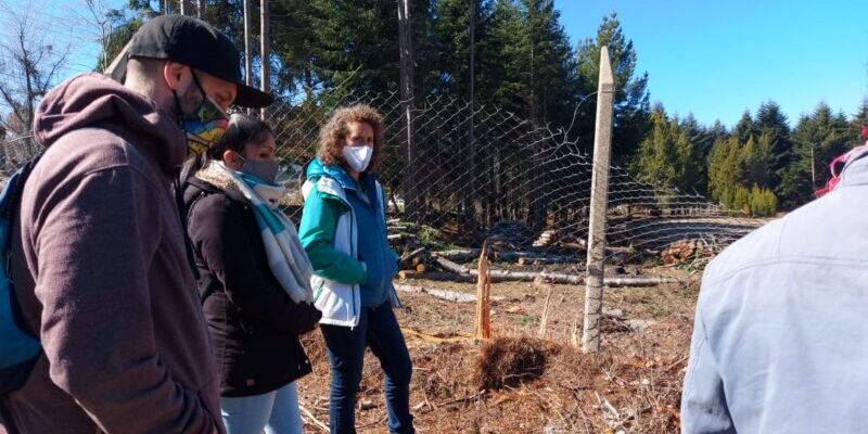 WhatsApp Image 2021-09-10 at 2.55.43 PM