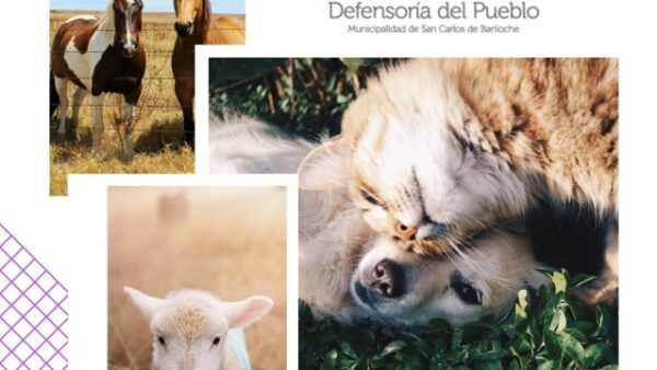 29-abril-dia-del-animal-y-cuidado-responsable-de-animales-de-compania-640×360