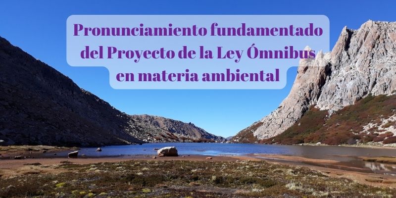 Pronunciamiento fundamentado del Proyecto de la Ley Ómnibus en materia ambiental