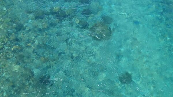 03-Marzo-Web-Consumoagua