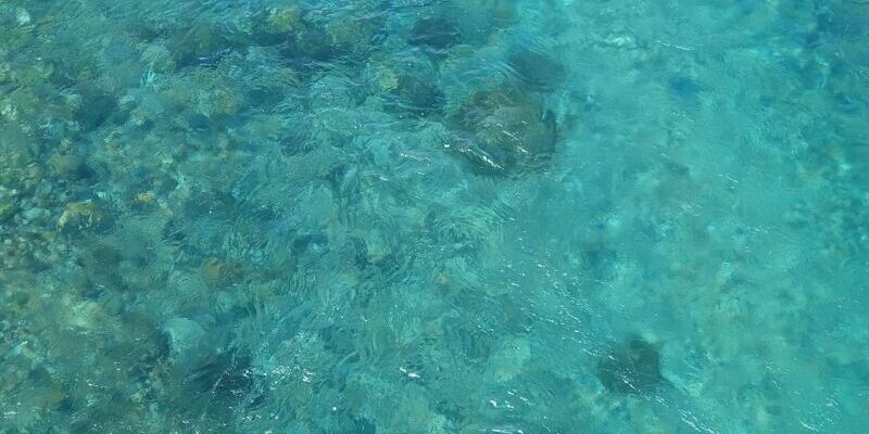 03-Marzo-Web-Consumoagua