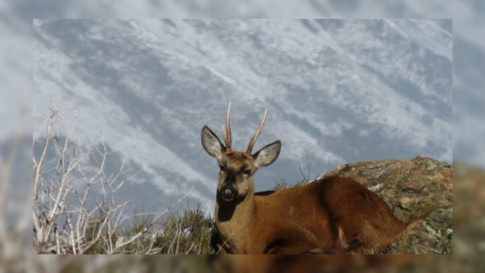 Ambiente – sitio Web (2)