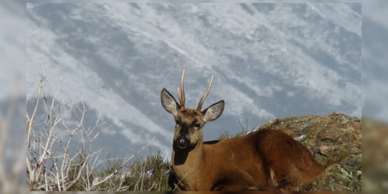 Ambiente – sitio Web (2)